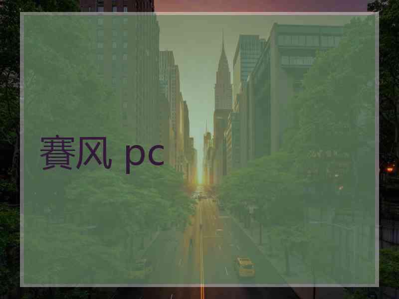 賽风 pc