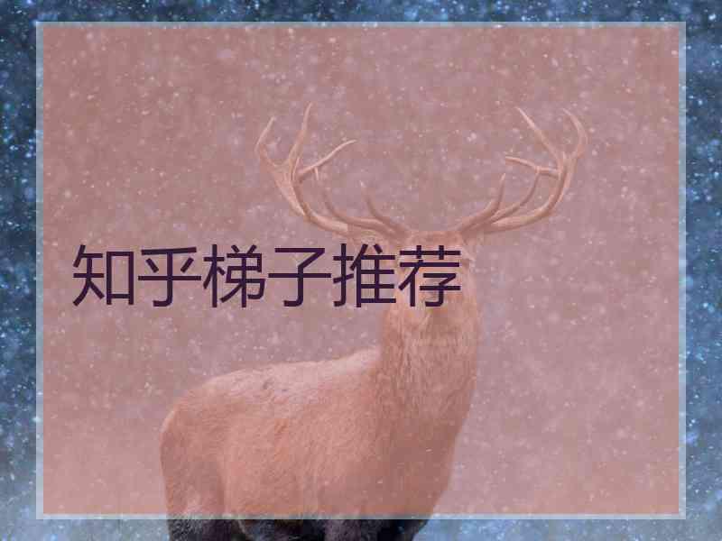 知乎梯子推荐