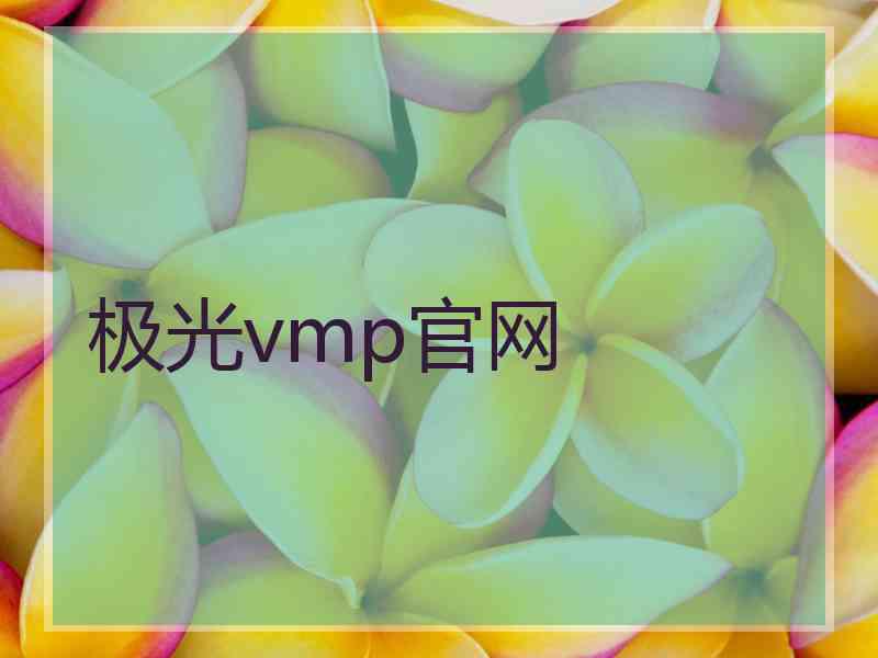 极光vmp官网