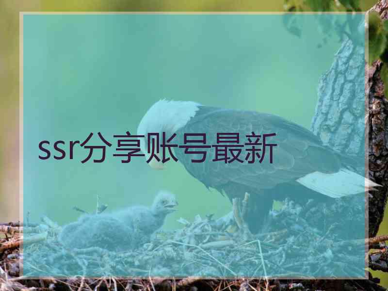 ssr分享账号最新