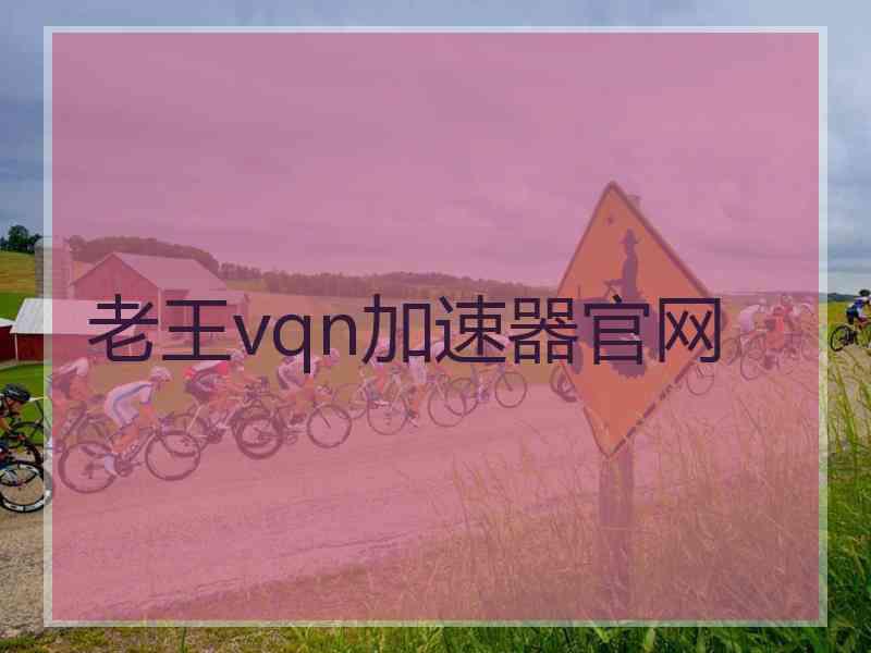 老王vqn加速器官网