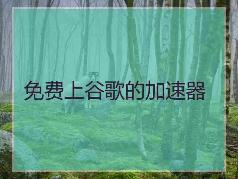 免费上谷歌的加速器