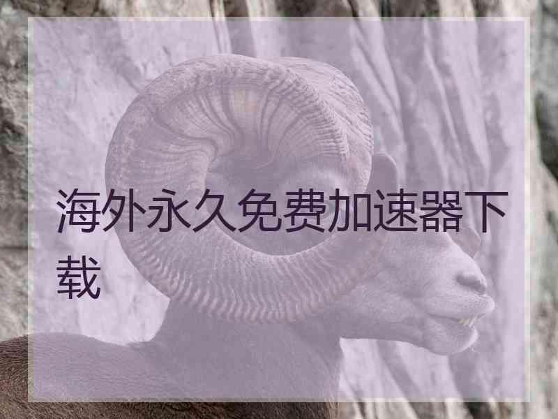 海外永久免费加速器下载