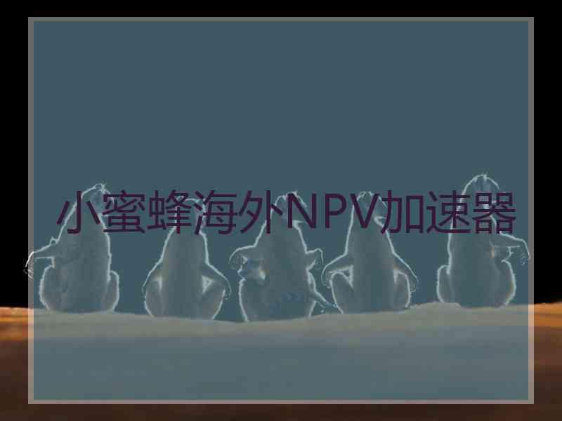 小蜜蜂海外NPV加速器