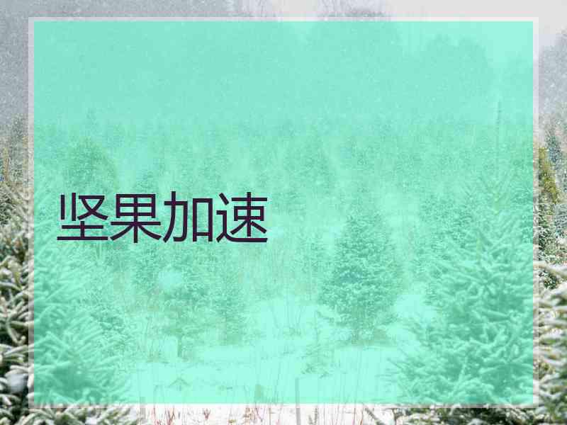 坚果加速