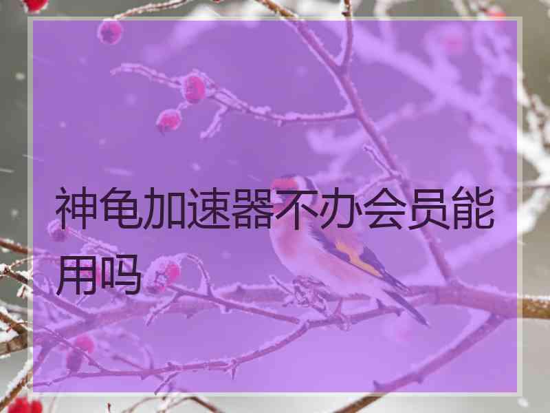 神龟加速器不办会员能用吗