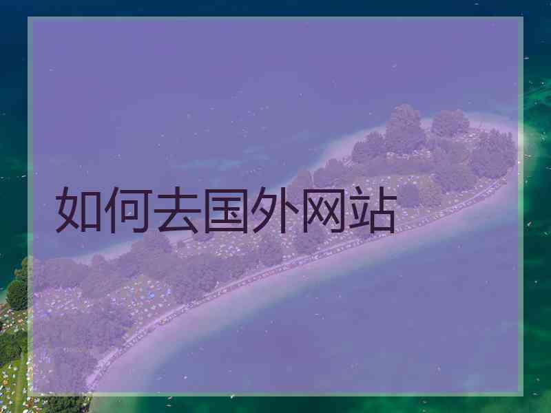 如何去国外网站