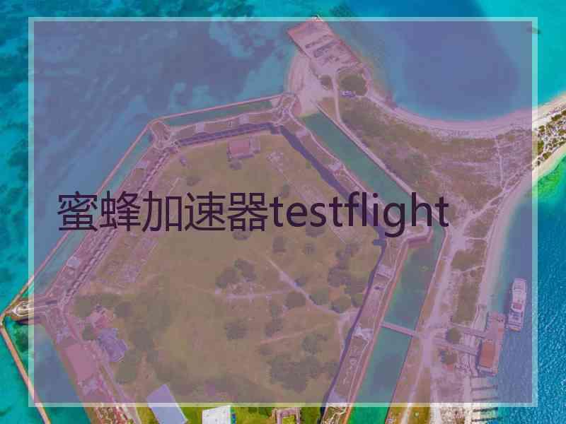 蜜蜂加速器testflight