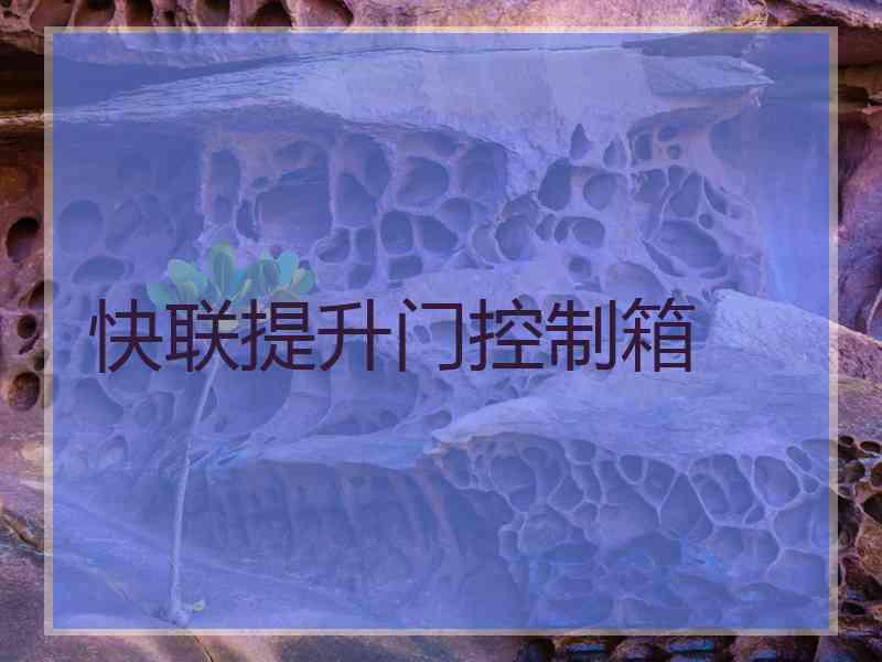 快联提升门控制箱