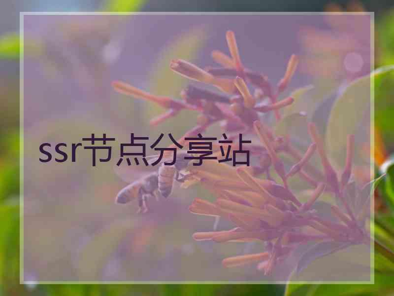 ssr节点分享站