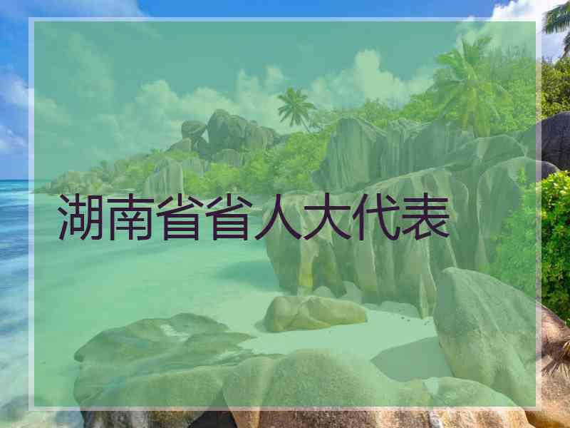 湖南省省人大代表