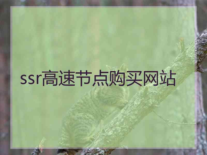 ssr高速节点购买网站