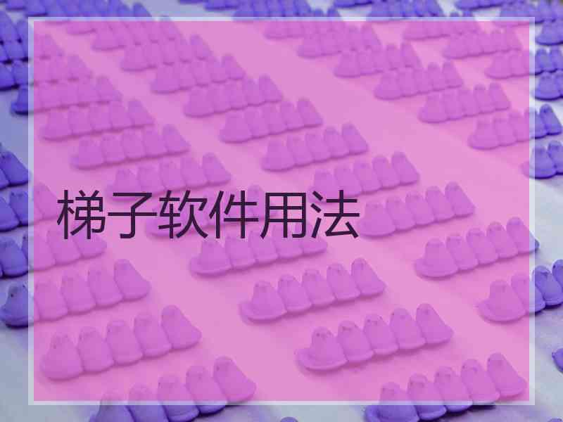 梯子软件用法
