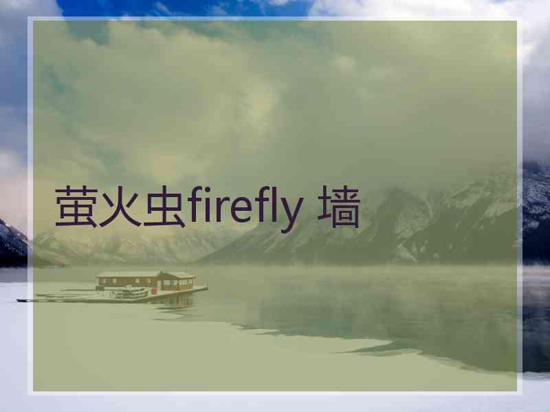 萤火虫firefly 墙