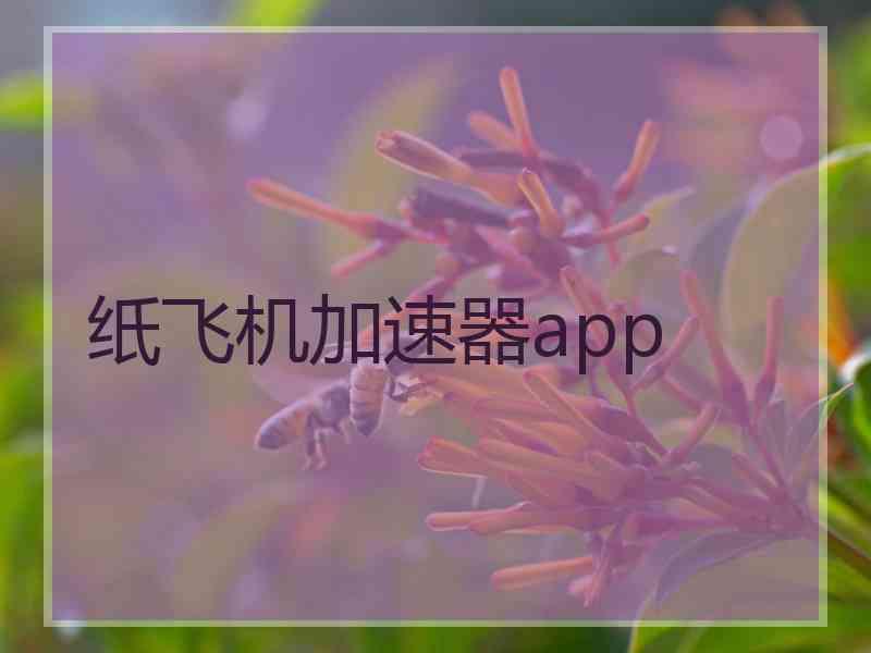 纸飞机加速器app