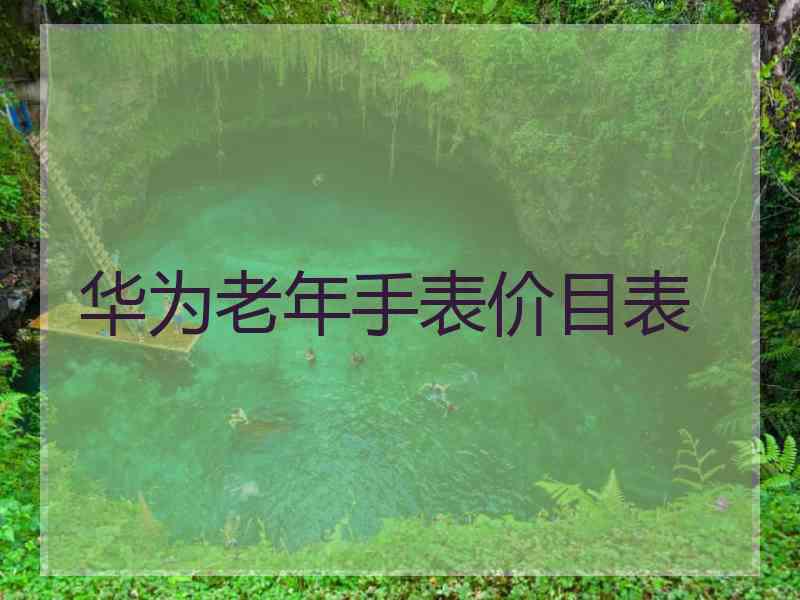 华为老年手表价目表