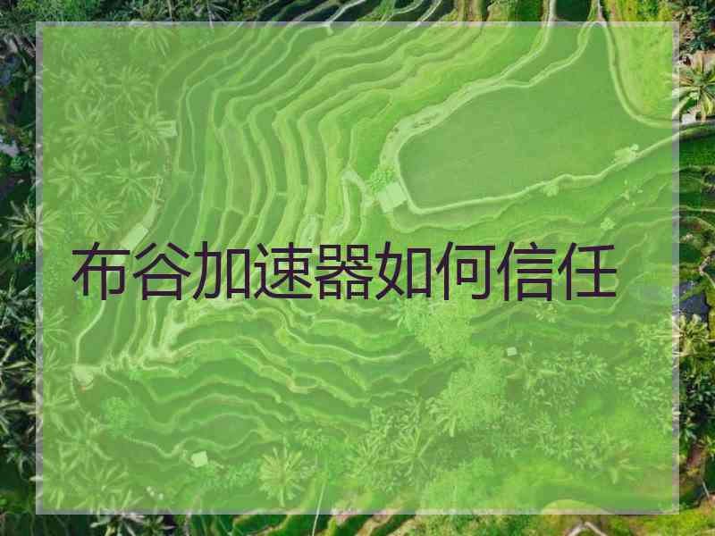 布谷加速器如何信任
