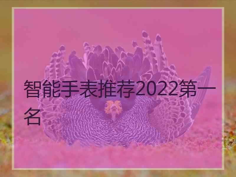 智能手表推荐2022第一名