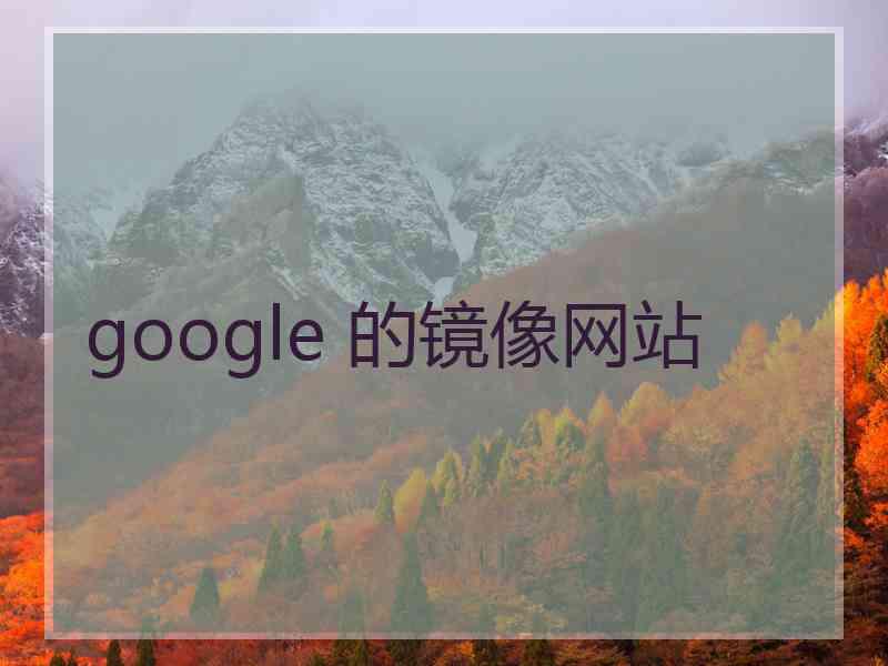 google 的镜像网站