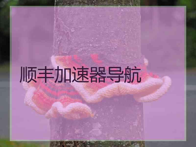 顺丰加速器导航