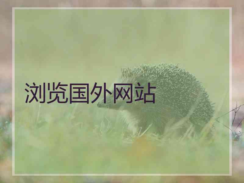 浏览国外网站
