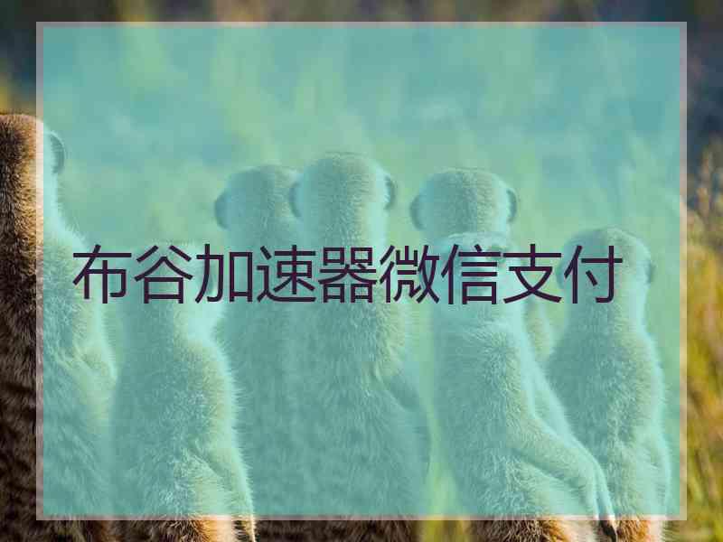 布谷加速器微信支付