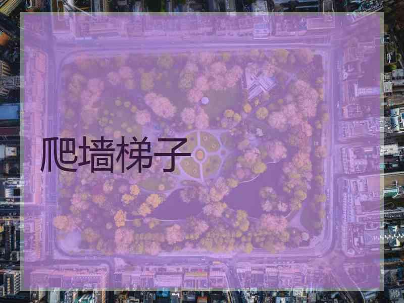 爬墙梯子