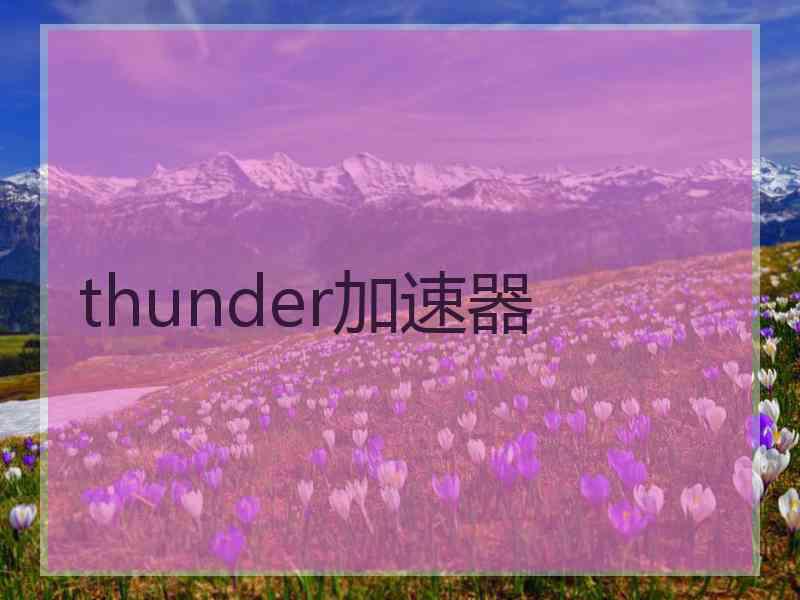 thunder加速器