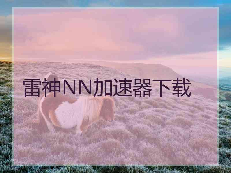 雷神NN加速器下载