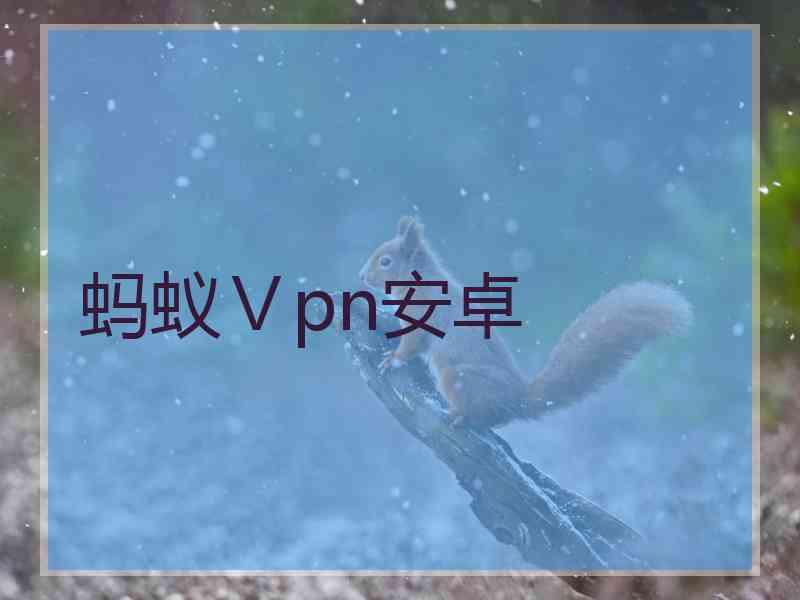 蚂蚁Ⅴpn安卓