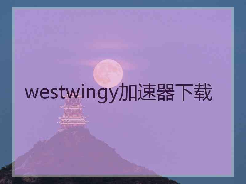westwingy加速器下载