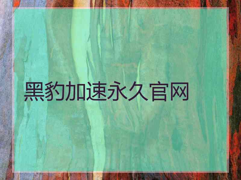 黑豹加速永久官网