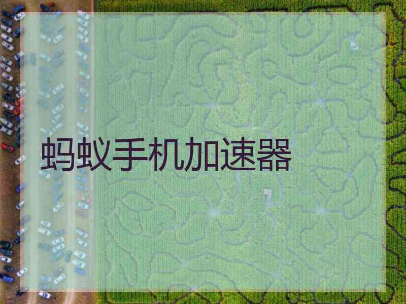 蚂蚁手机加速器