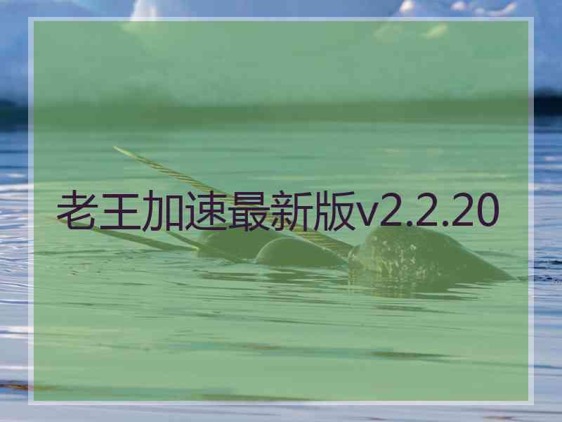 老王加速最新版v2.2.20