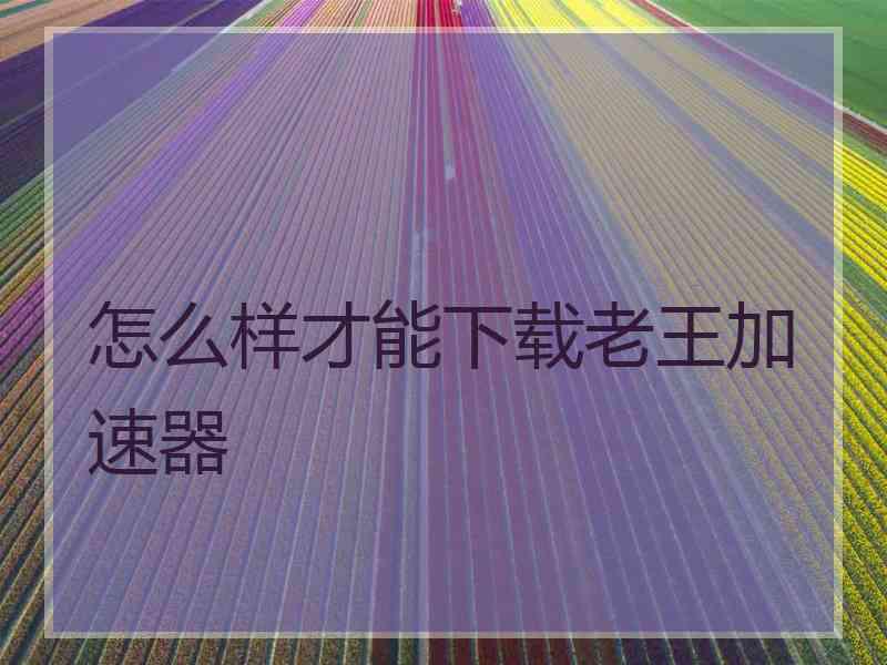 怎么样才能下载老王加速器