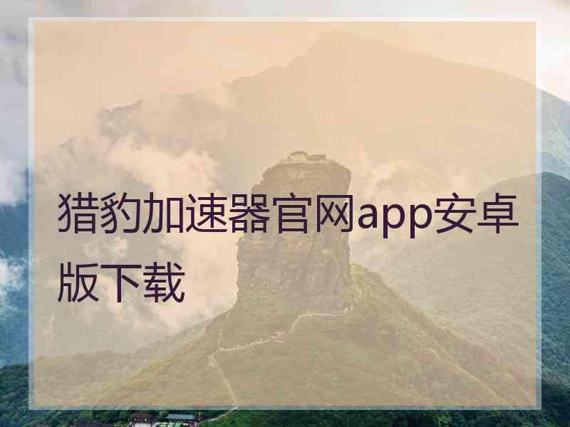 猎豹加速器官网app安卓版下载