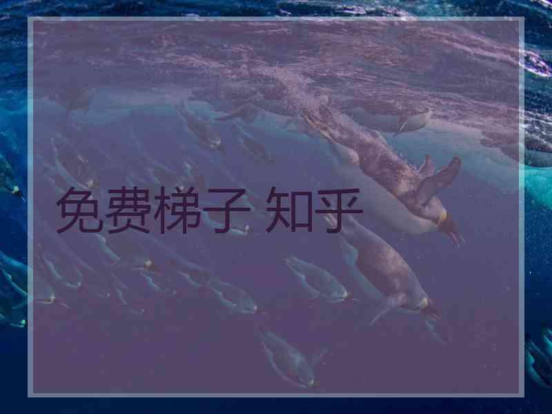 免费梯子 知乎