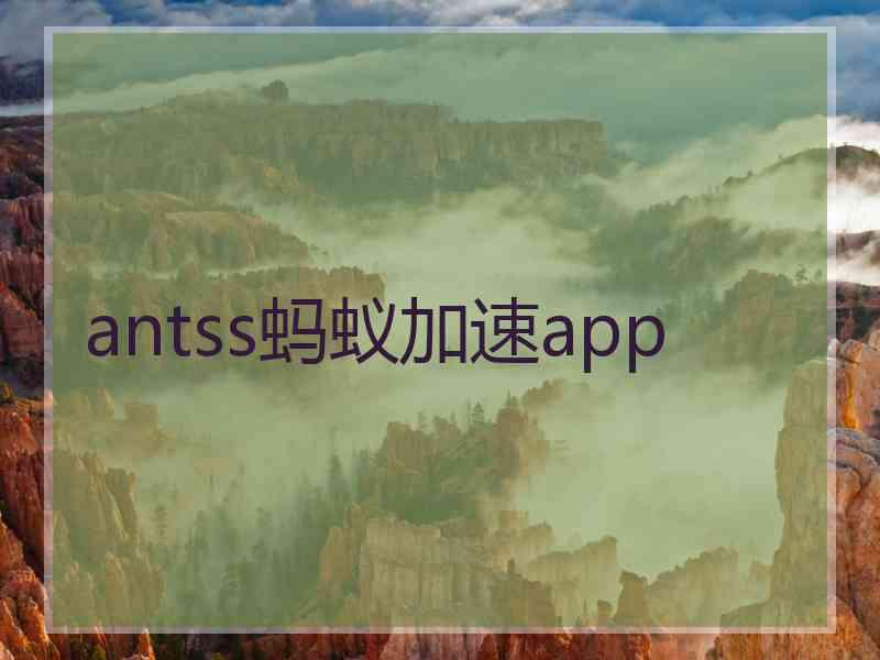 antss蚂蚁加速app