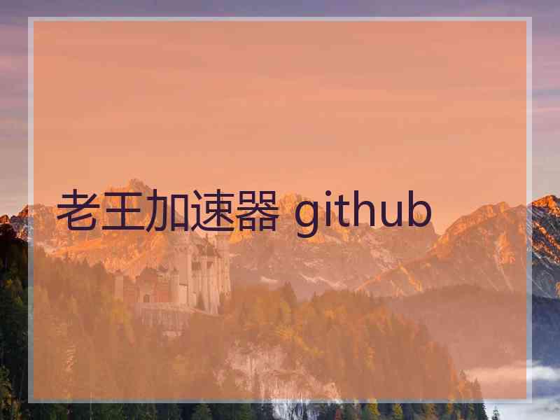 老王加速器 github