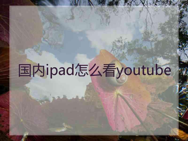 国内ipad怎么看youtube