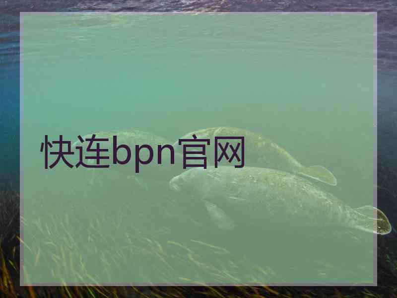 快连bpn官网