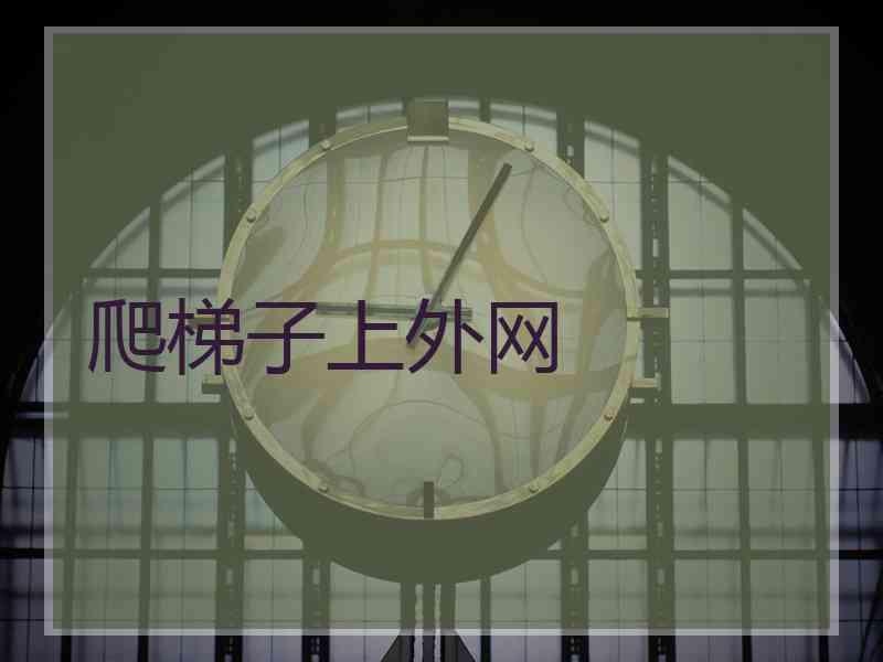 爬梯子上外网