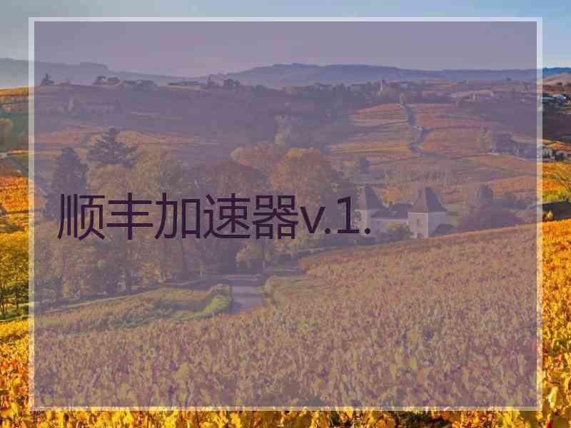顺丰加速器v.1.