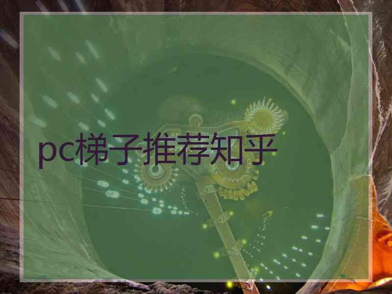 pc梯子推荐知乎