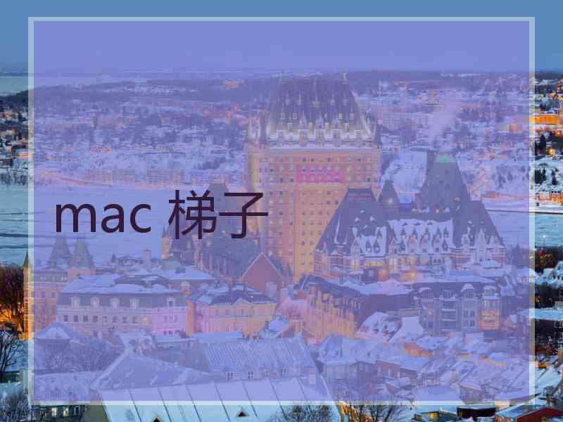 mac 梯子