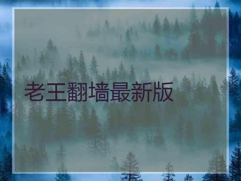 老王翻墙最新版