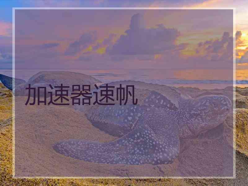 加速器速帆