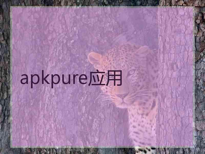 apkpure应用