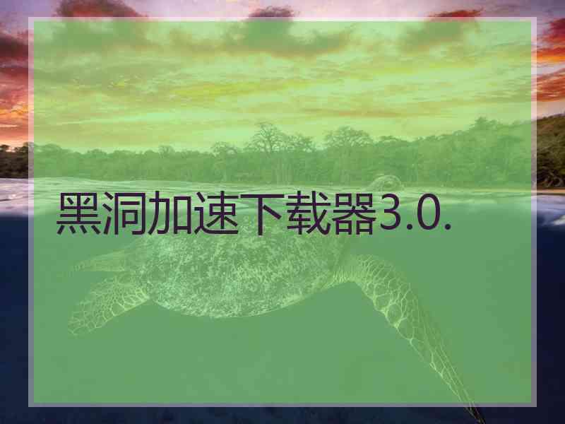 黑洞加速下载器3.0.