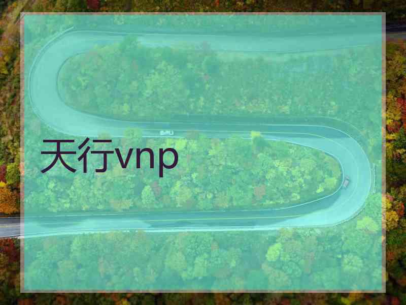 天行vnp